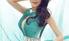 龚玥菲不雅视频,真相与争议